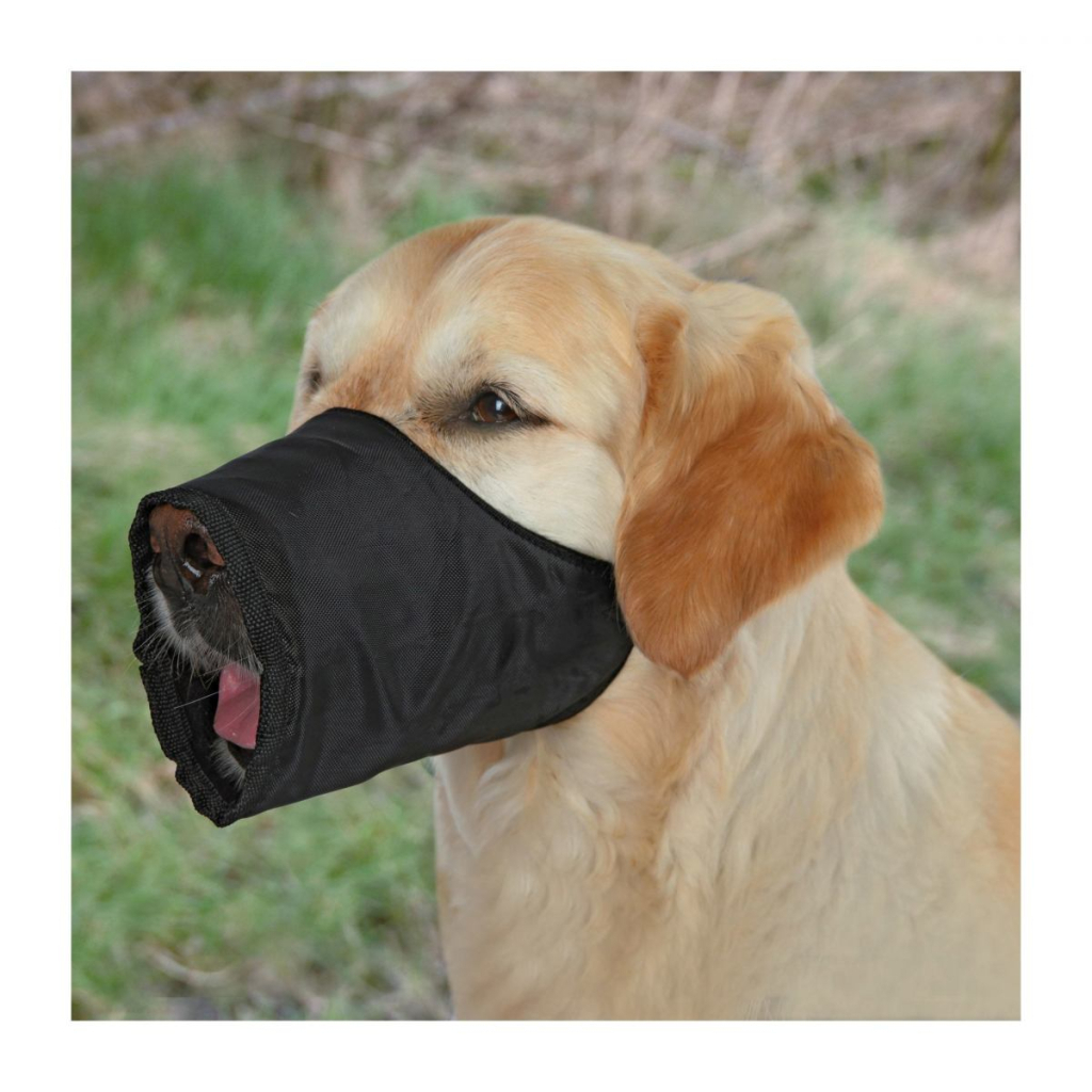 Намордник для собак Trixie нейлоновий XS для чіхуахуа 12 см/12-28 см (4011905019208) - зображення 2