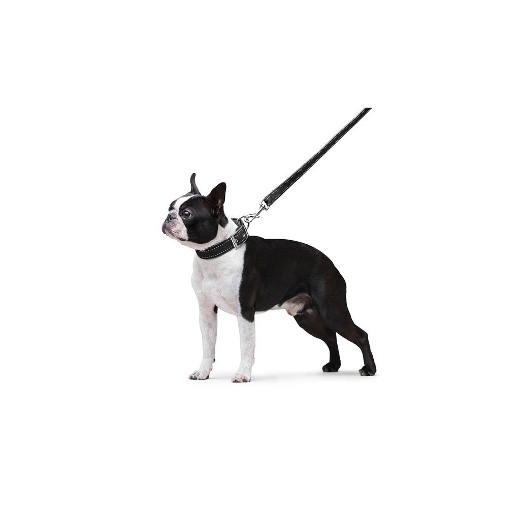 Повідець для собак Dog Extreme з нейлону подвійний Ш 20 мм Д 122 см чорний (42981) - зображення 6