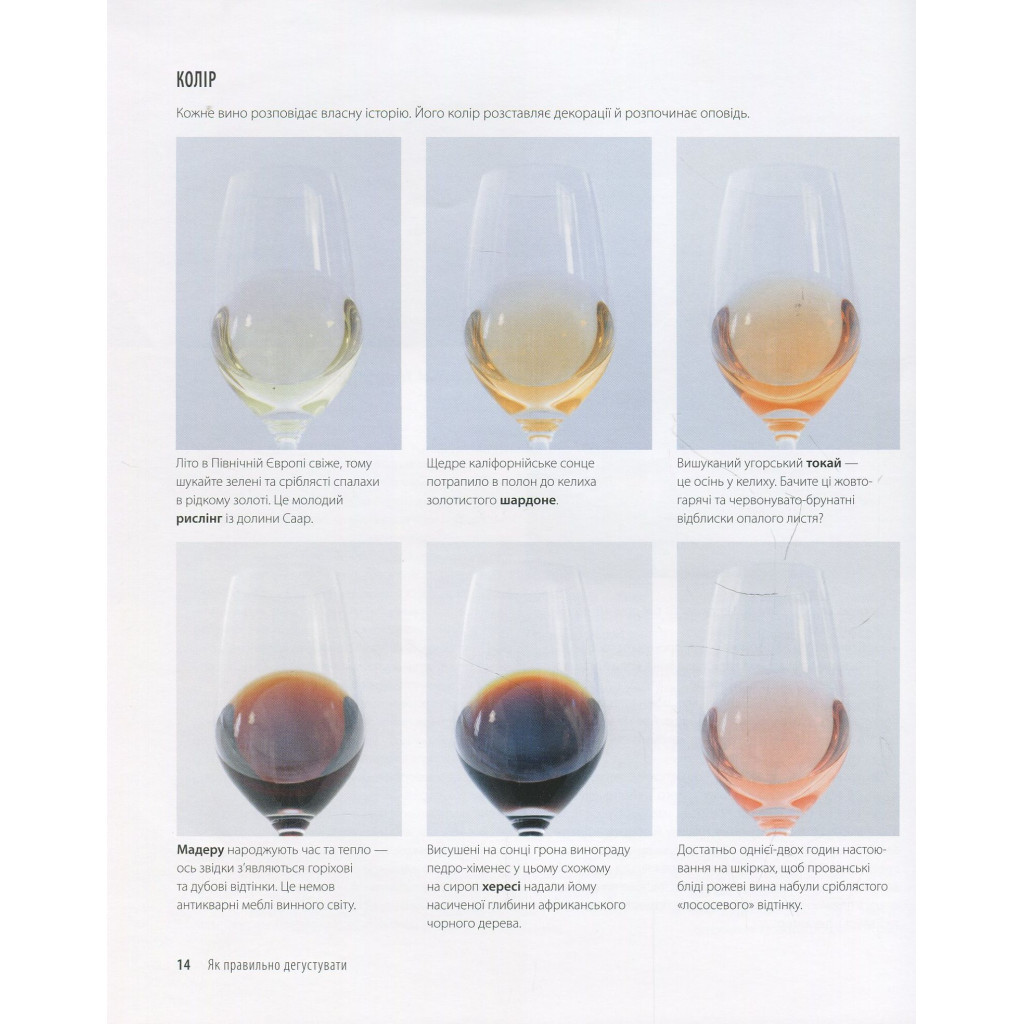 Книга Вино. Курс Ендрю Джеффорда Vivat (9789669426833) - зображення 12