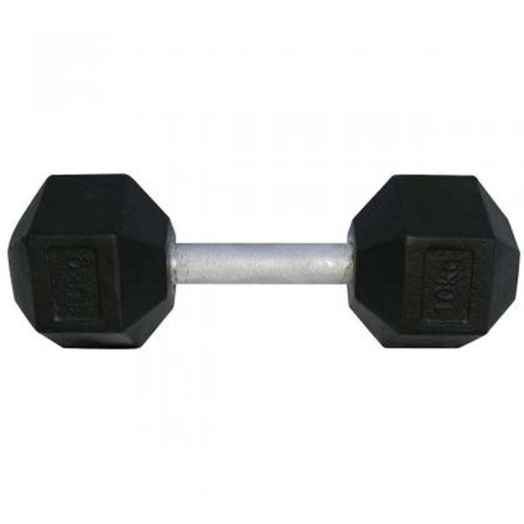 Гантель Newt profi 10кг (NE-101-010) - зображення 1