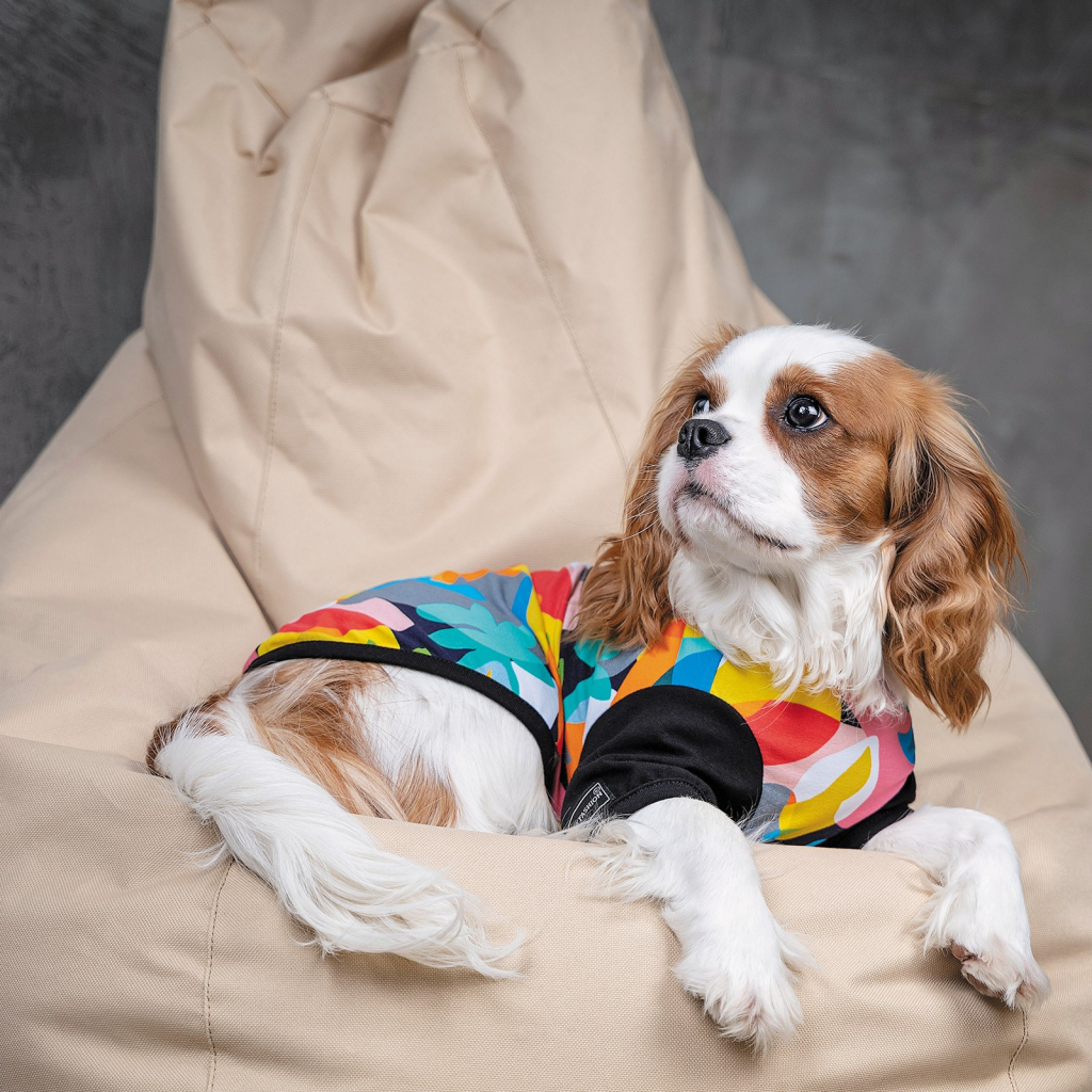 Футболка для тварин Pet Fashion "Mood" XS2 (4823082420827) - зображення 5