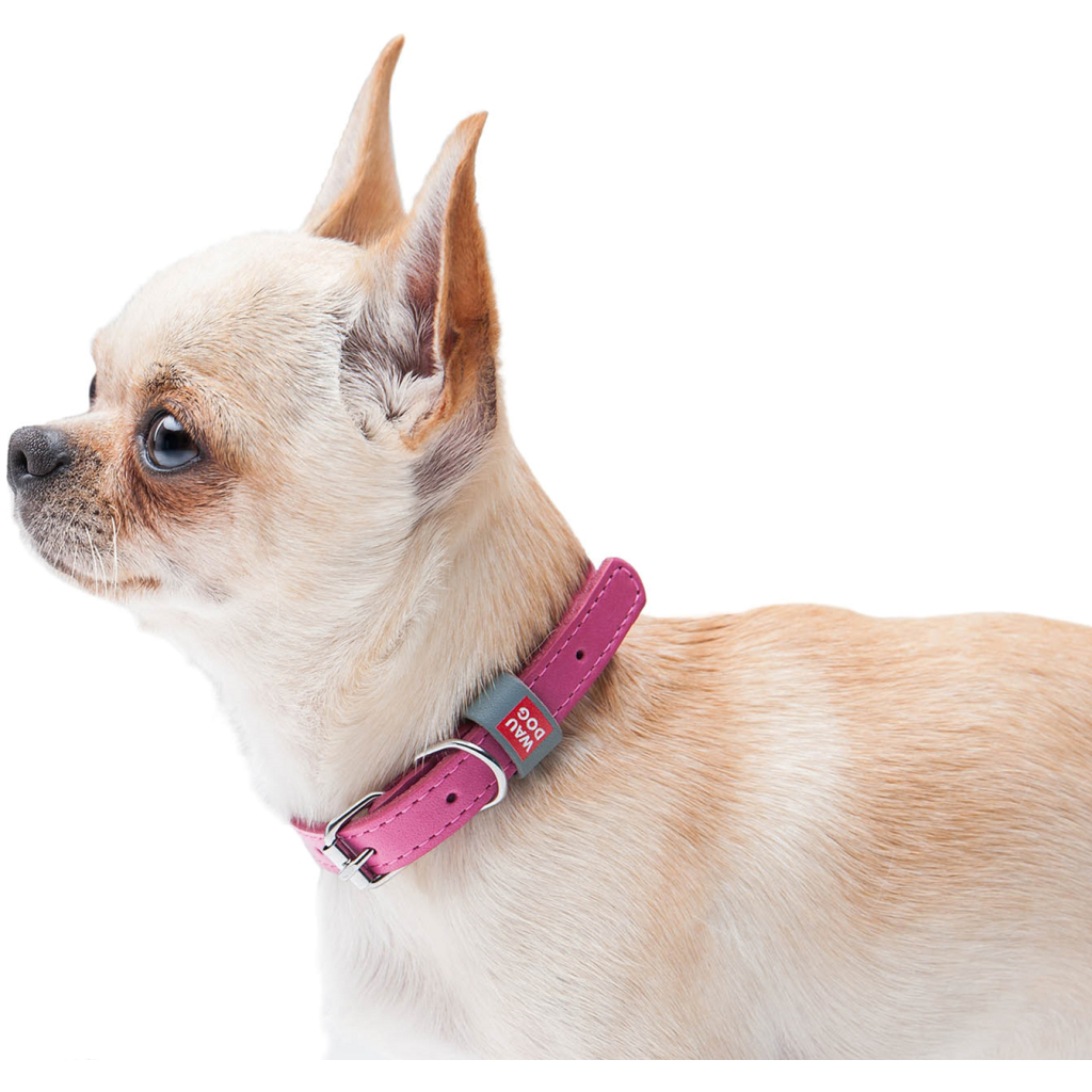 Нашийник для тварин WAUDOG Classic шкіряний 12 мм х 19-25 см рожевий (02017) - изображение 4