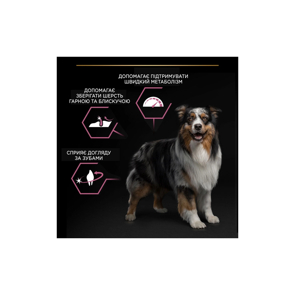 Сухий корм для собак Purina Pro Plan Dog Medium Adult Sensitive Skin з лососем і рисом 14 кг (7613035120464) - зображення 7