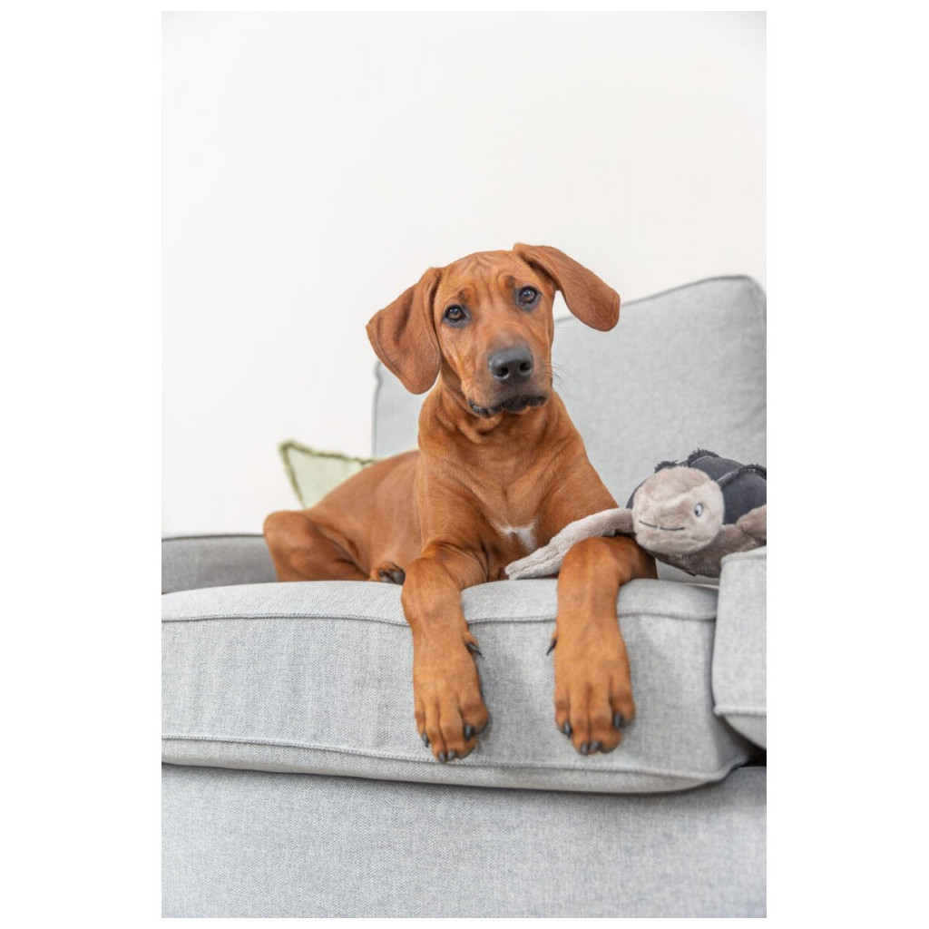 Іграшка для собак Trixie BE NORDIC Черепаха Хауке 34 см сіра (4011905360621) - зображення 4