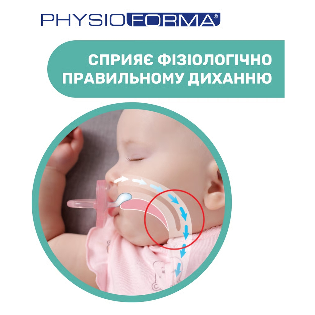 Пустушка Chicco Physio Comfort силіконова від 2 до 6 місяців 2шт. (блакитна) (74931.21.00) - зображення 5