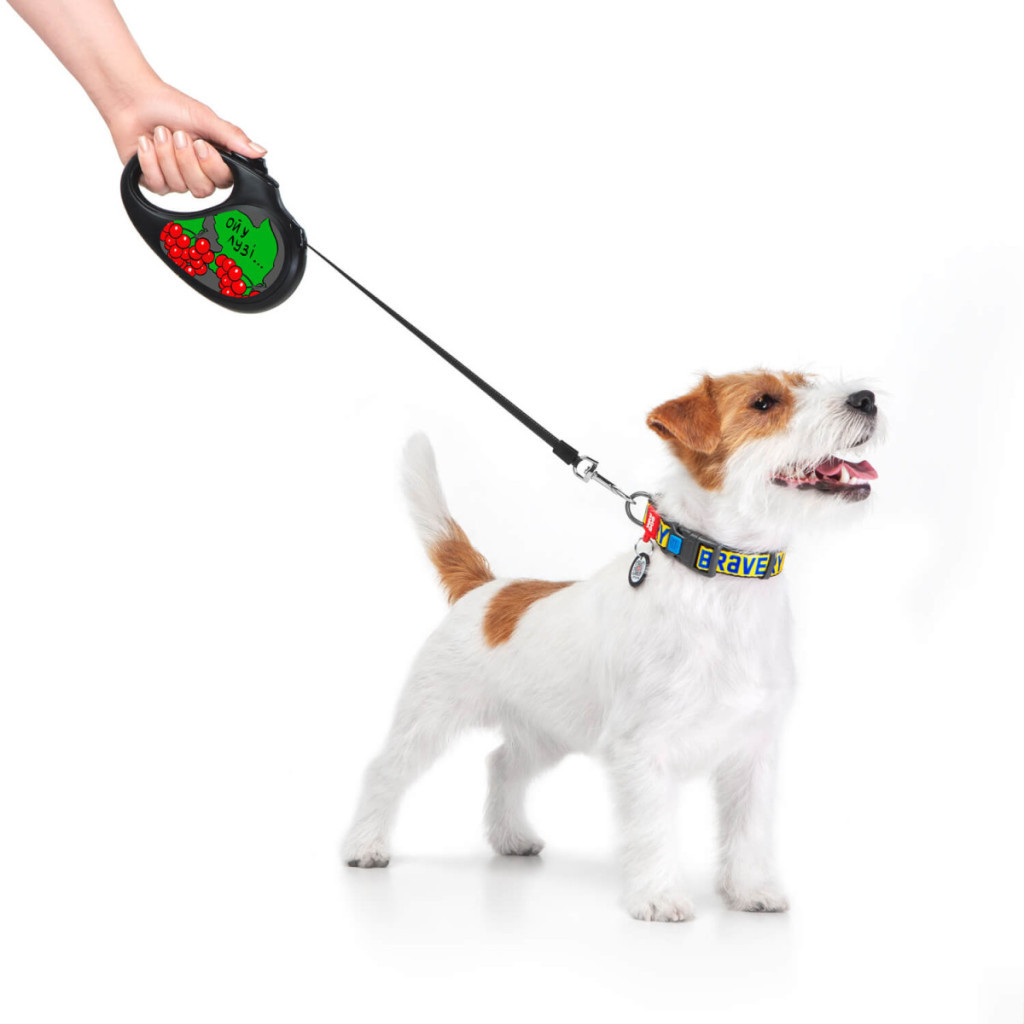 Повідець для собак WAUDOG R-leash Калина світловідбиваюча стрічка M 5 м (8125-0228-01) - зображення 2