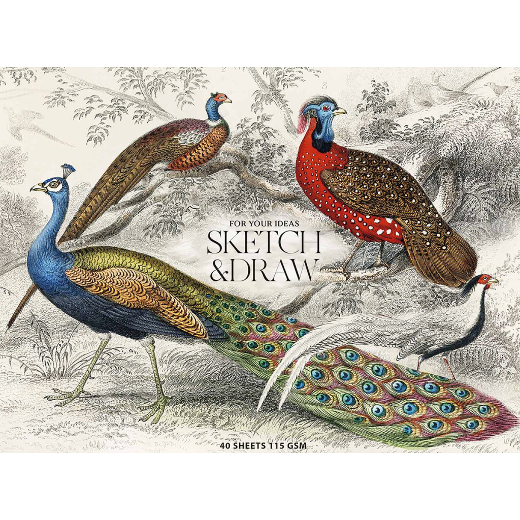 Альбом для малювання Школярик для ескізів та малювання, MUSE А5 40 аркушів 115г/м2 (PB-GB-040-068) - зображення 1