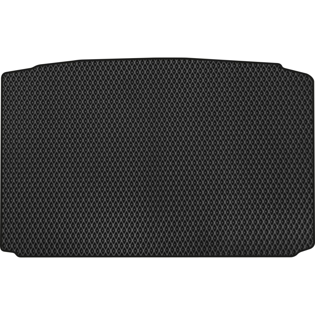 Килимок в багажник EVAtech Peugeot 206 CC (T16) 2000-2008 Coupe EU (PT42105B1RBB) - зображення 1