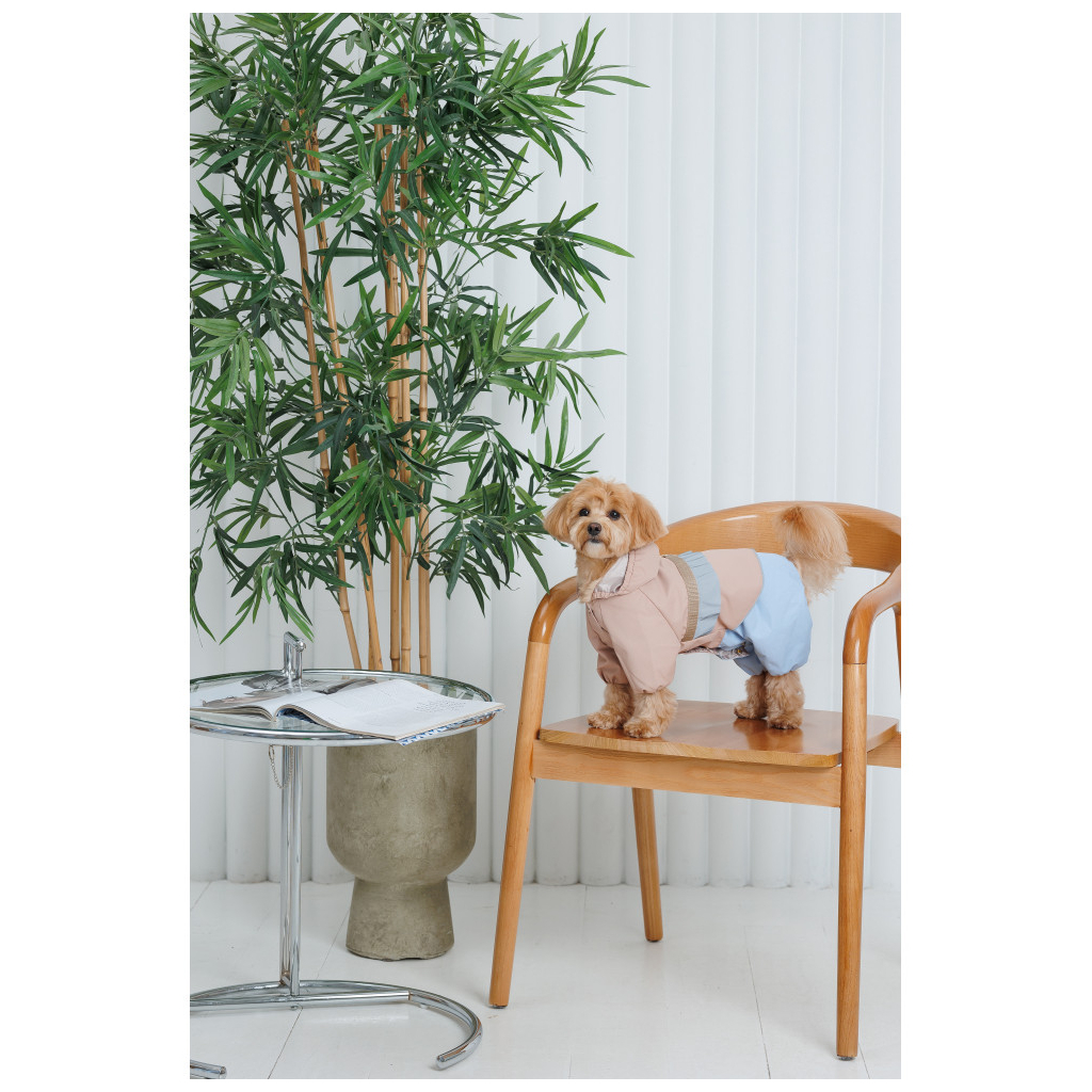 Дощовик для тварин Pet Fashion Tina XL бежевий/блакитний (4823082435197) - зображення 10