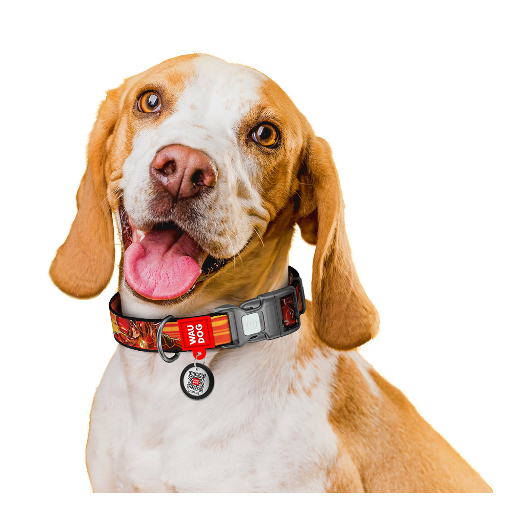 Нашийник для тварин WAUDOG Nylon з QR паспортом "Швидкість Флеша", пластиковий фастекс, L (282-1080) - зображення 6