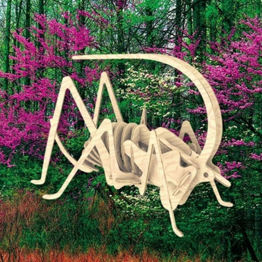 Збірна модель Мир деревянных игрушек Цвіркун (Е015) - изображение 1