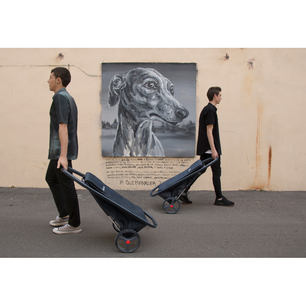 Сумка-візок Rolser Com MF 8 Black Tube Negro (COH012-1023) (930279) - зображення 7