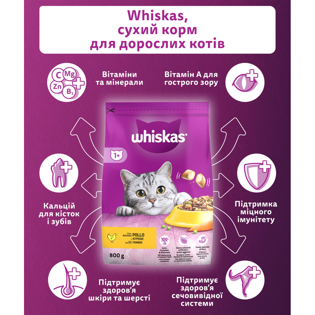 Сухий корм для кішок Whiskas з куркою 800 г (5998749144367) - зображення 2