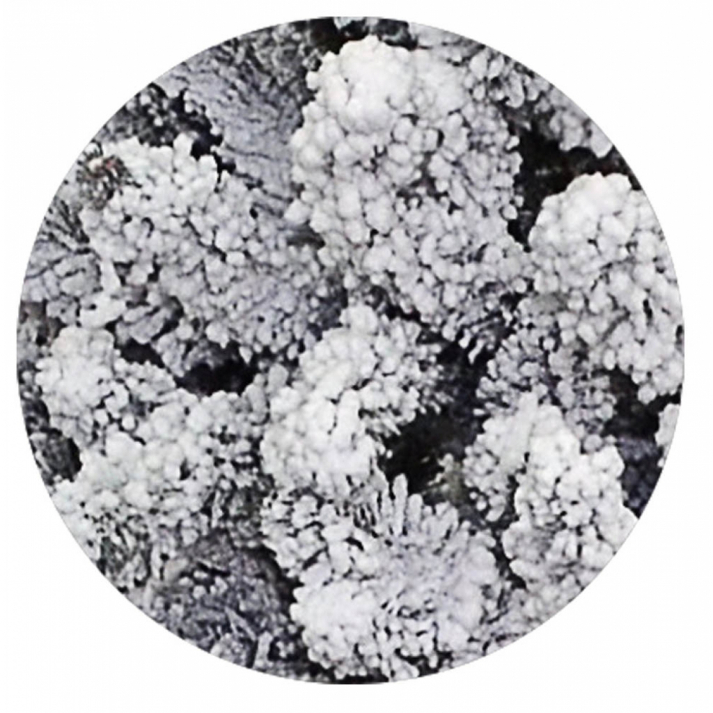 Штучна ялинка YES! Fun Альпійська засніжена 1,8 м (903921) - изображение 2