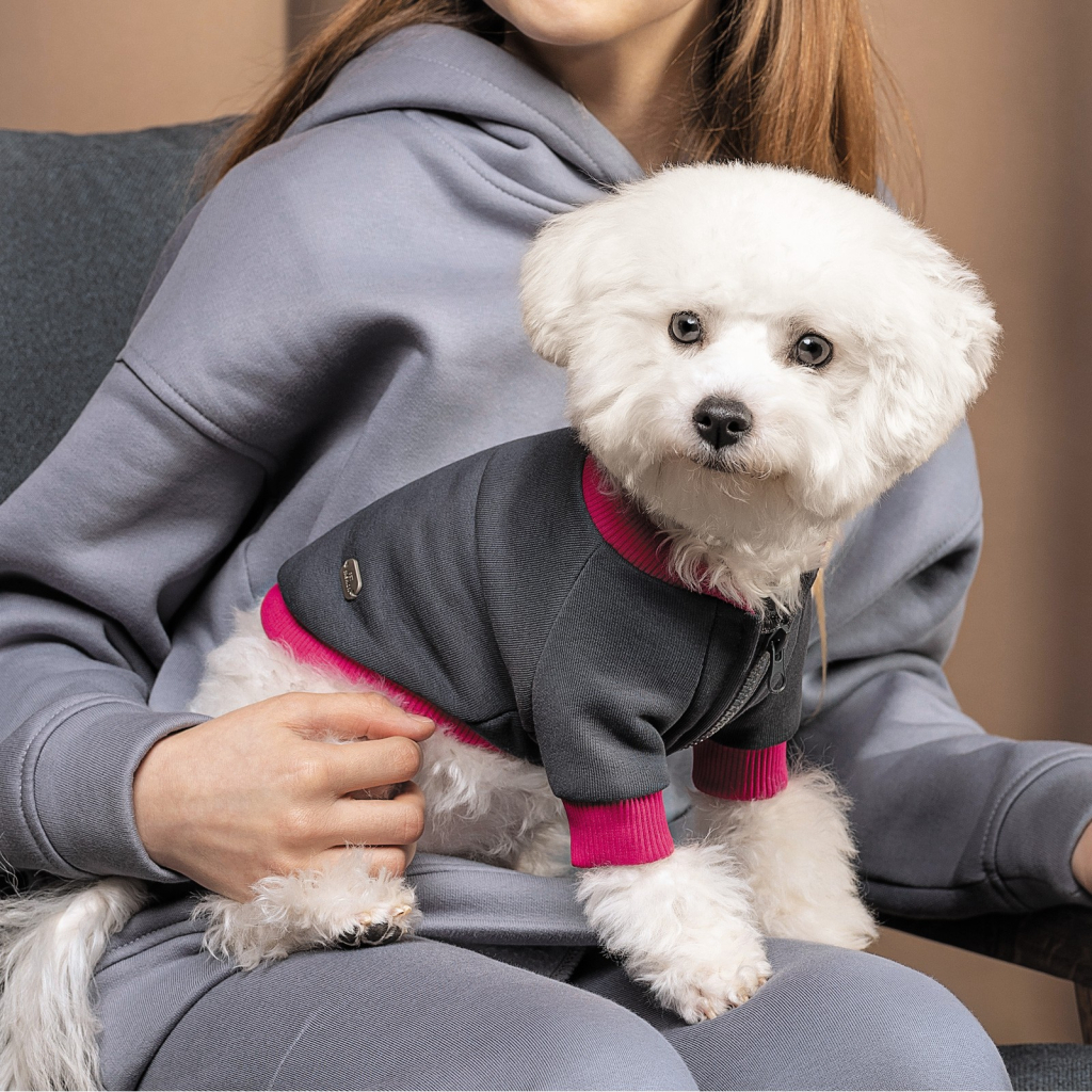 Толстовка для тварин Pet Fashion BIM XS2 (4823082430291) - зображення 3
