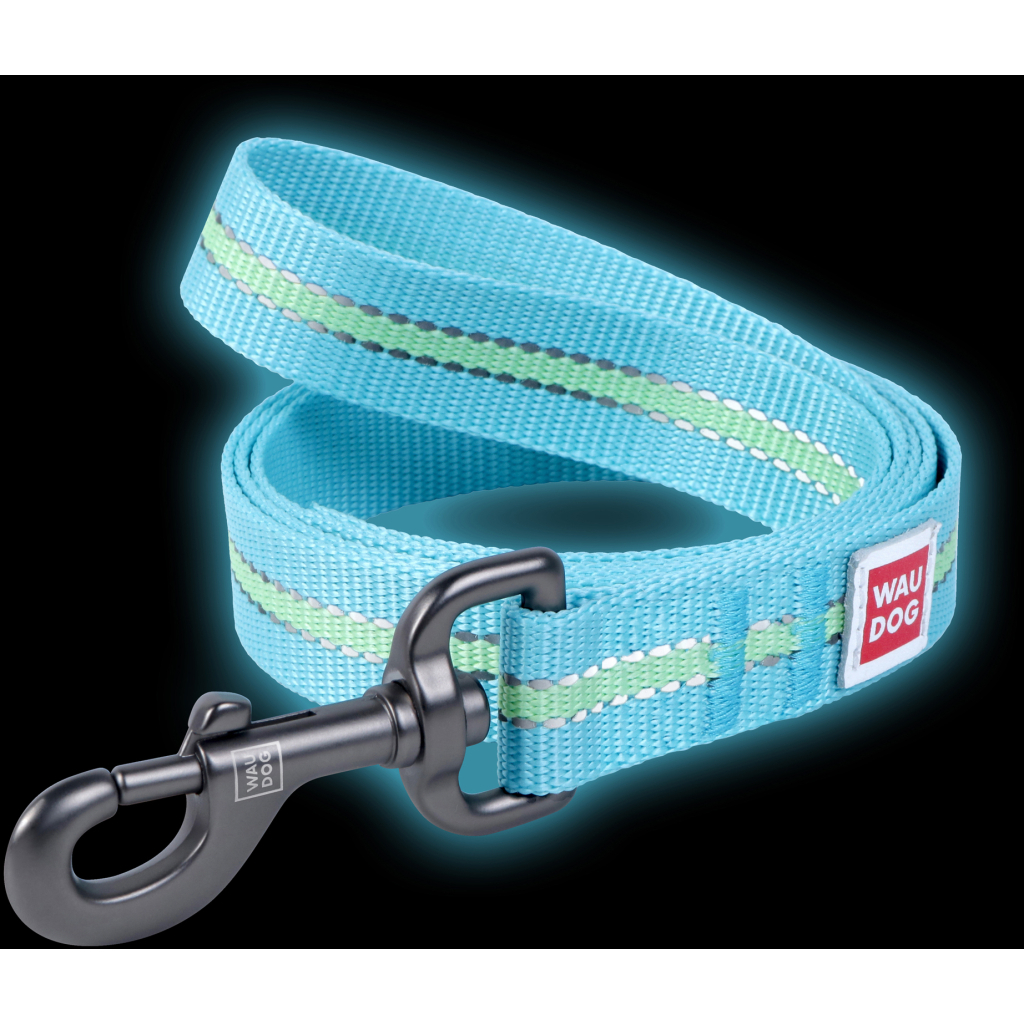 Повідок для собак WAUDOG Nylon світонакоплювальний L Ш 25 мм блакитний (45752) - зображення 4