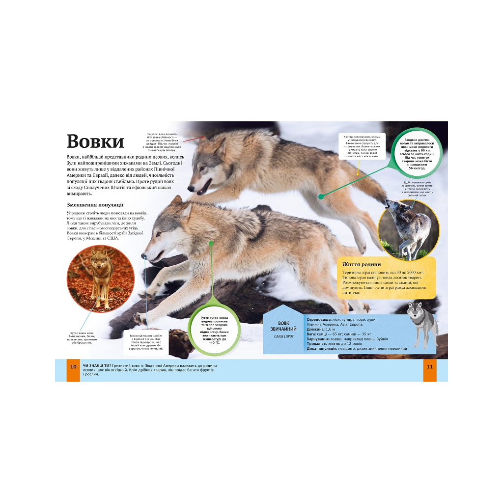 Книга Дитяча енциклопедія тварин - Майкл Ліч, Меріел Лленд Vivat (9789669425751) - зображення 3