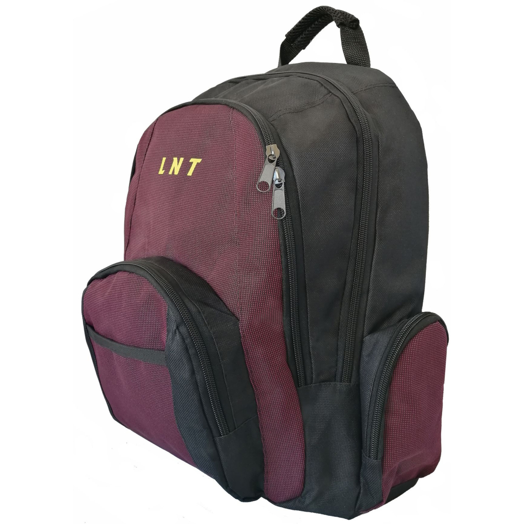 Рюкзак для ноутбука LNT 15.6" BN115 (LNT-BN115G-RD) - зображення 4
