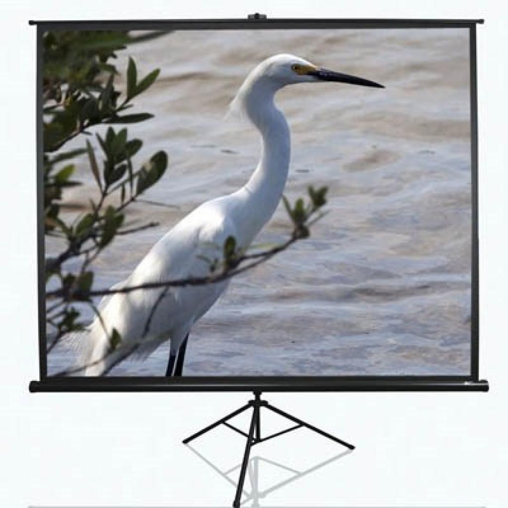 Проекційний екран T84UWV1 Elite Screens - зображення 1