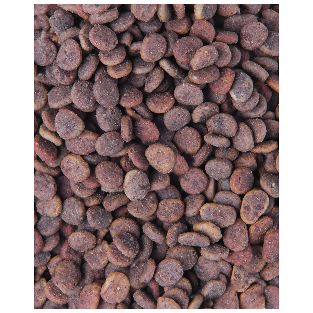 Сухий корм для кішок Carnilove True Fresh Cat Turkey з індичкою 4.8 кг (8595602561469) - зображення 3