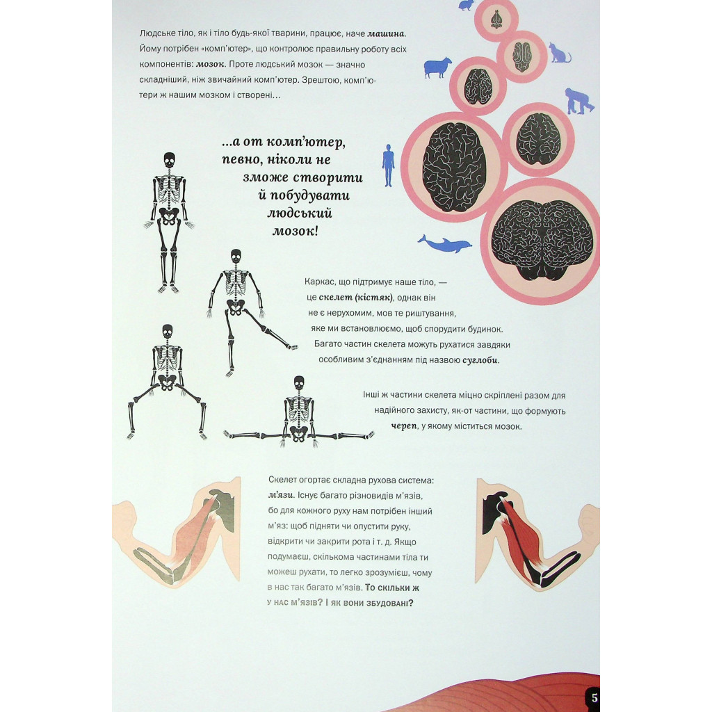 Книга Тіло людини - Кристина Перабоні Жорж (9786177853199) - зображення 6