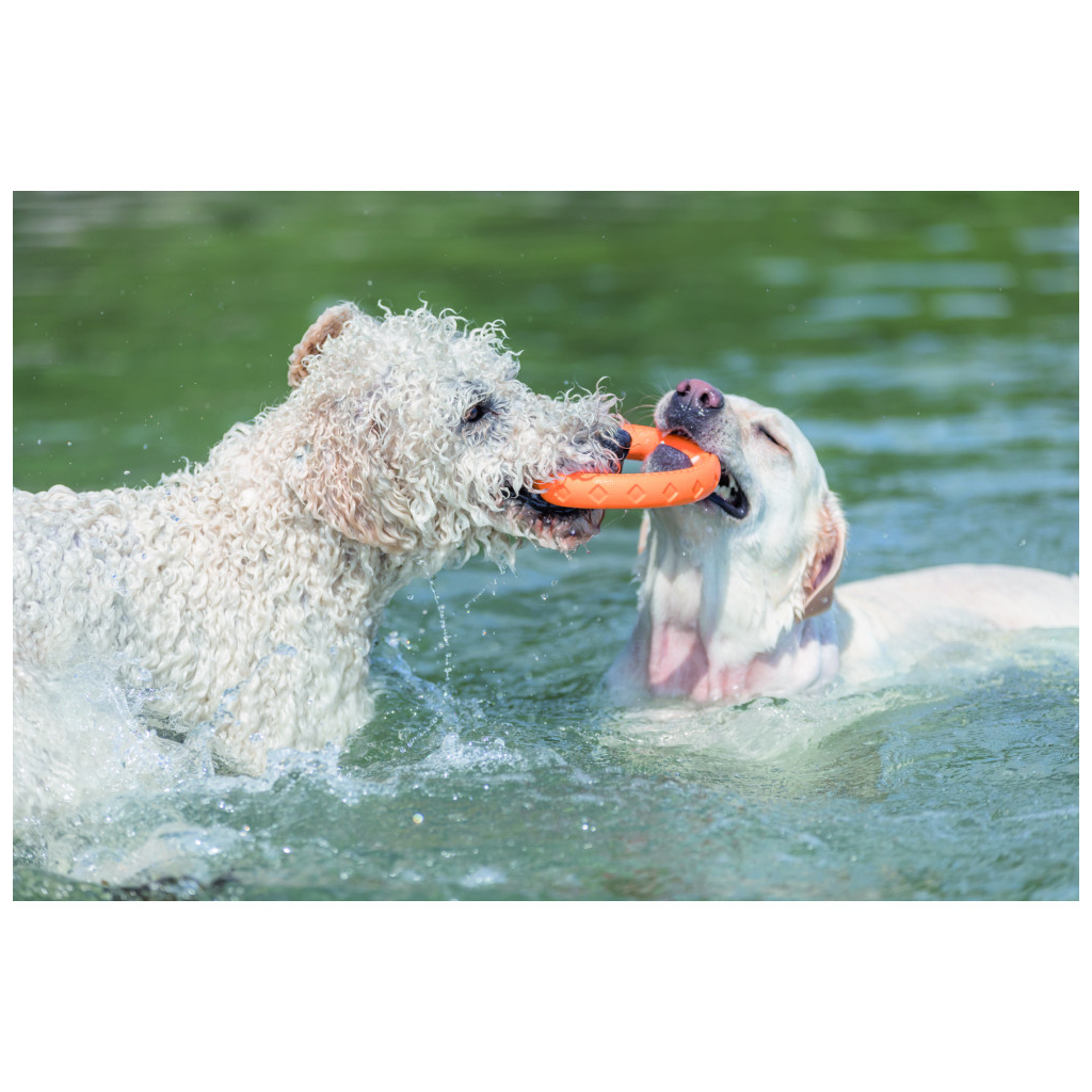 Іграшка для собак Trixie Кільце плавуче Для водних розваг Термопластична гума 17 см (4047974334430) - зображення 2