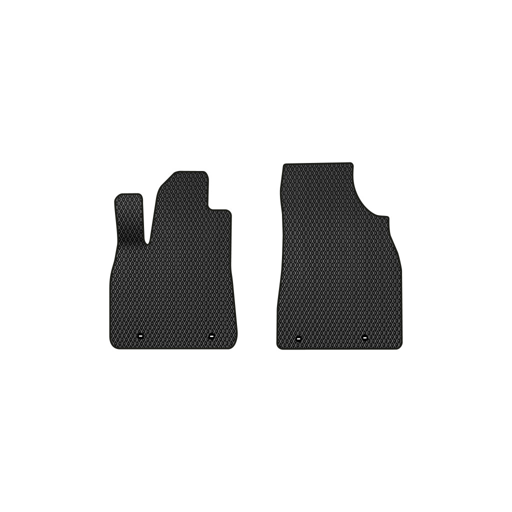 Килимок в салон EVAtech передні Lexus RX 350 (AL10) 2009-2015 3 п (LS51670AV2TL4RBB) - зображення 1