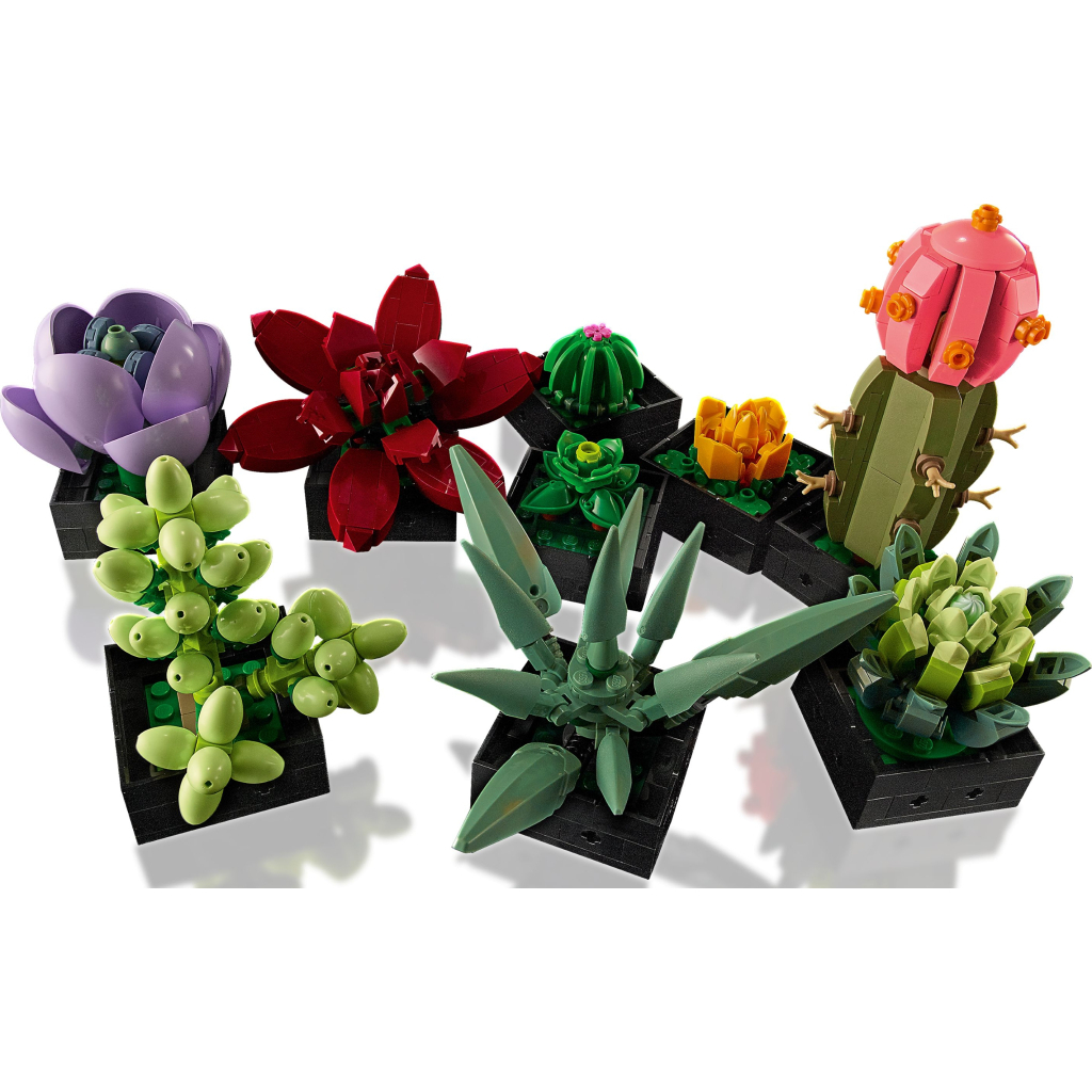 Конструктор LEGO Botanicals Сукуленти (10309-) - зображення 5