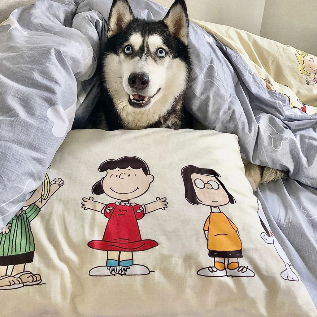 Постільна білизна Viluta Сатин Твіл 406 214х150 підліткова (406-pd) - зображення 2