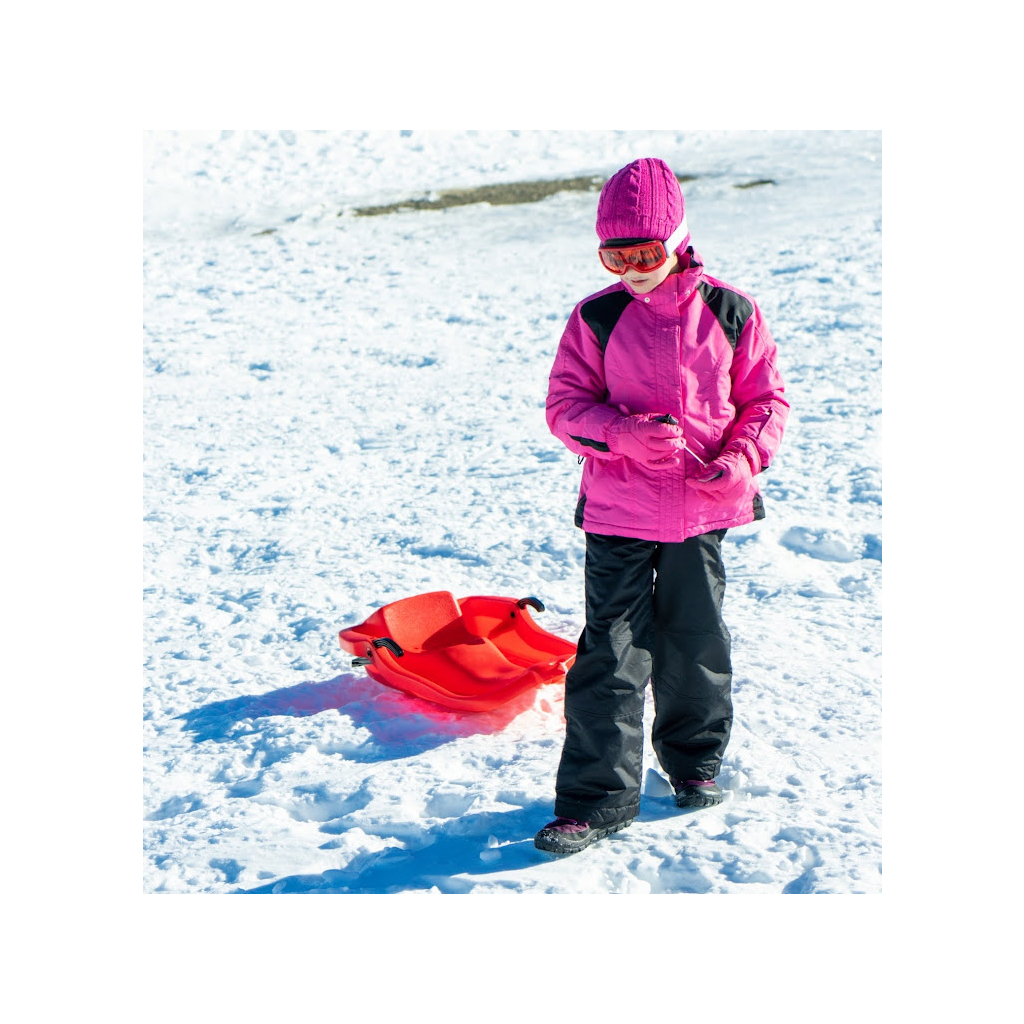 Санки Prosperplast червоні (ISRHOR-1788C) - зображення 4