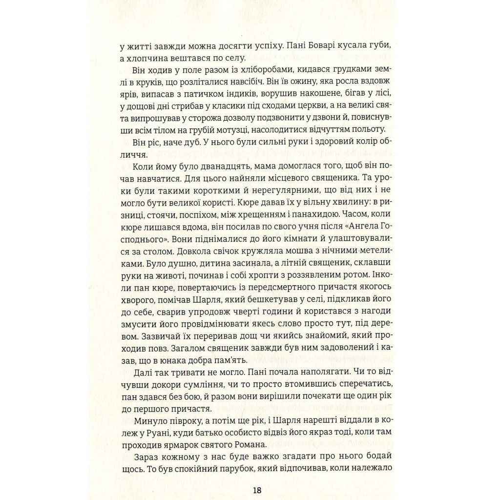 Книга Пані Боварі - Гюстав Флобер #книголав (9786177563111) - зображення 10