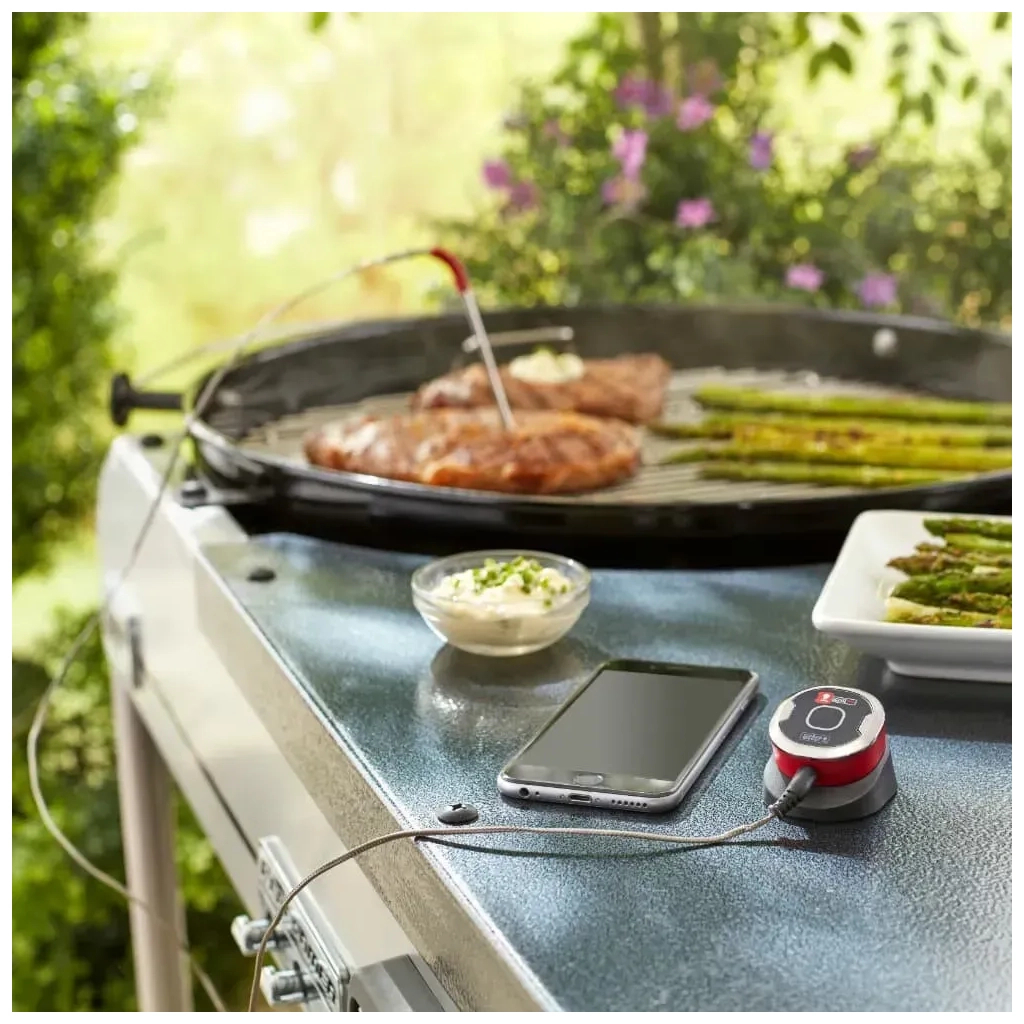 Кухонний термометр Weber iGrill Mini (7220) - изображение 4