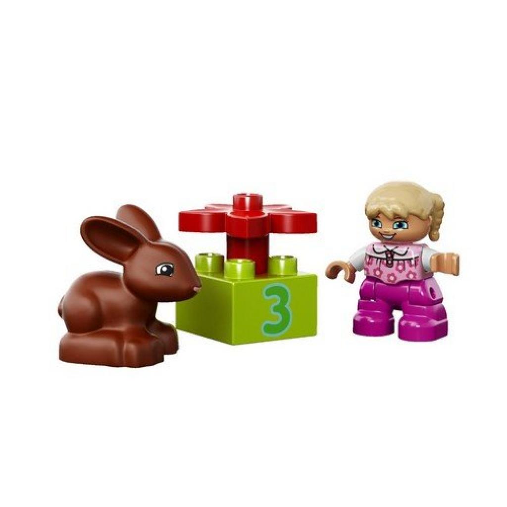Конструктор LEGO Duplo Універсальний набір Весела рожева коробка (10571) - зображення 4