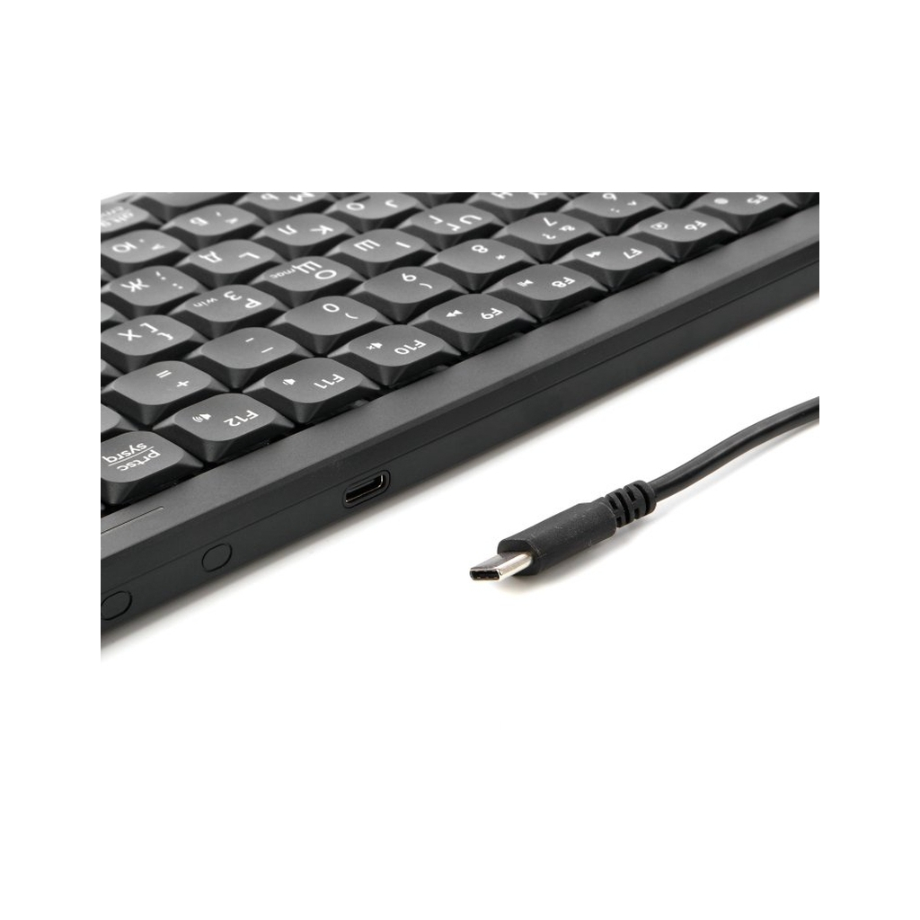 Клавіатура A4Tech FX53 USB UA Black (4711421002394) - зображення 6