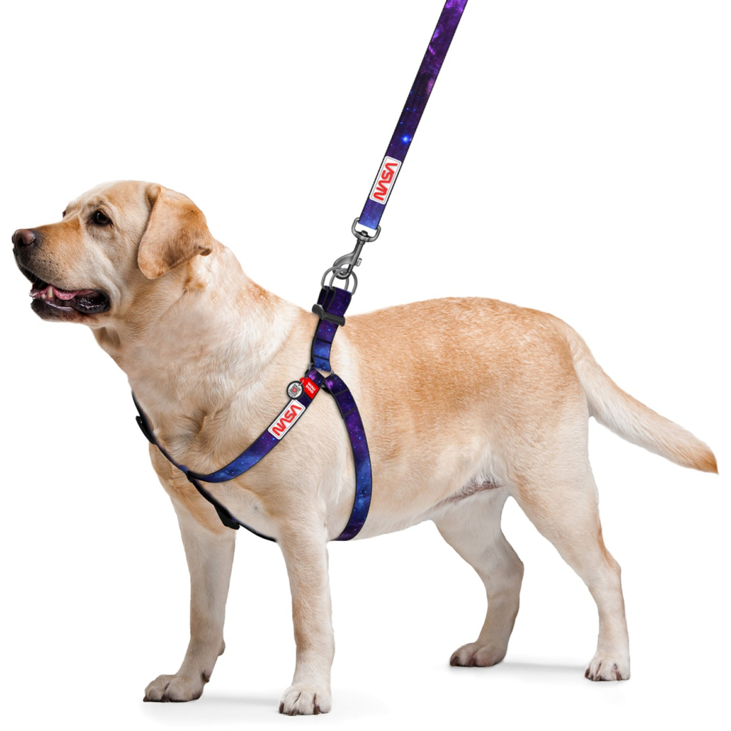 Шлея для собак WAUDOG Nylon з QR-паспортом "NASA21" L (4802-0148) - зображення 2