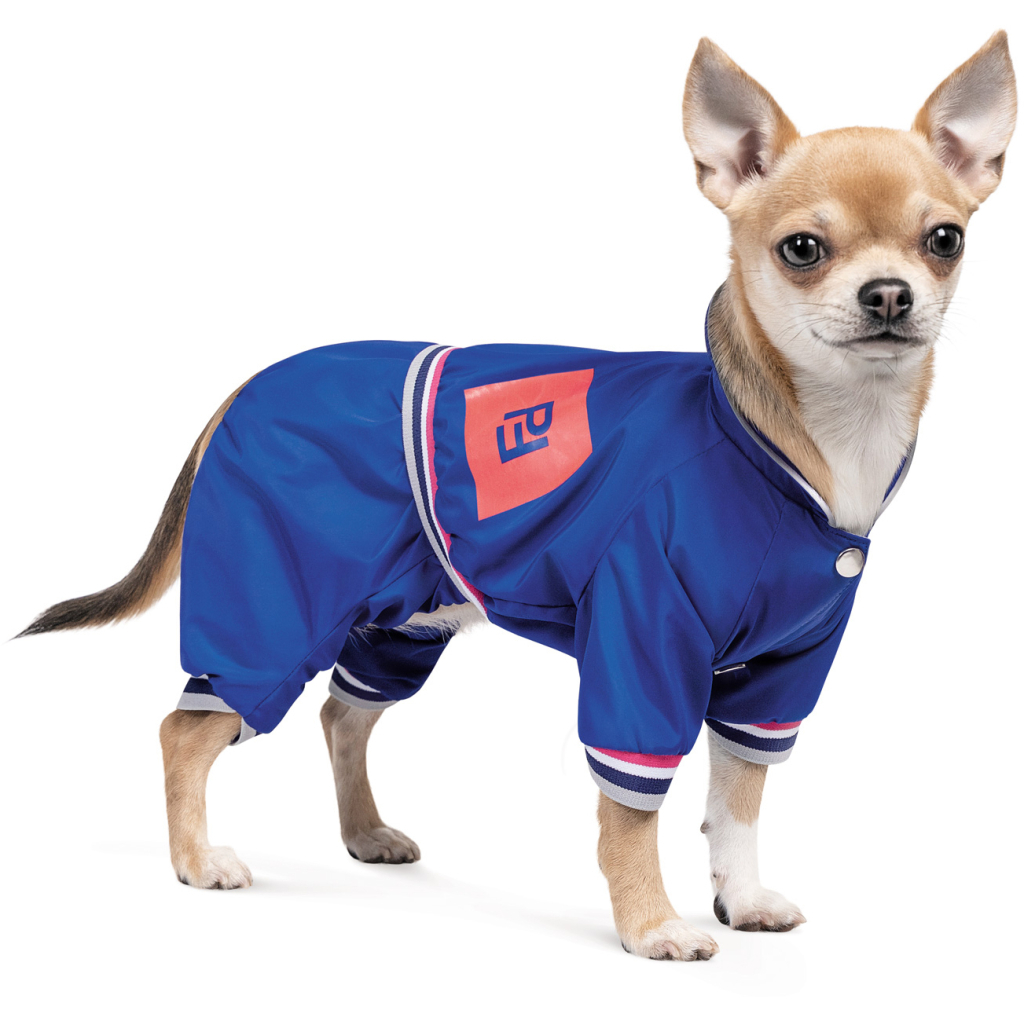 Дощовик для тварин Pet Fashion Silver ХS (4823082429905) - зображення 2