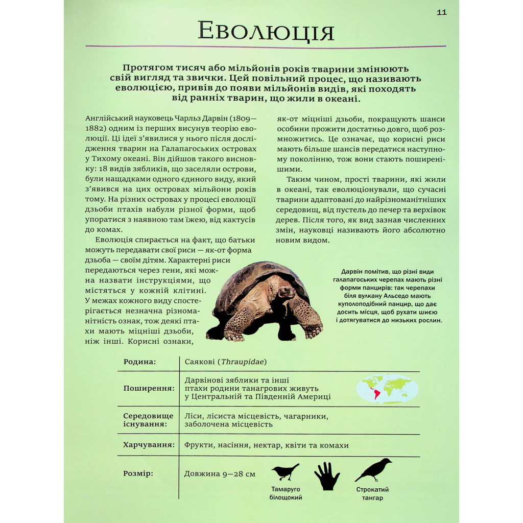 Книга Велика книга тварин - Клаудія Мартін Vivat (9786171704794) - зображення 11