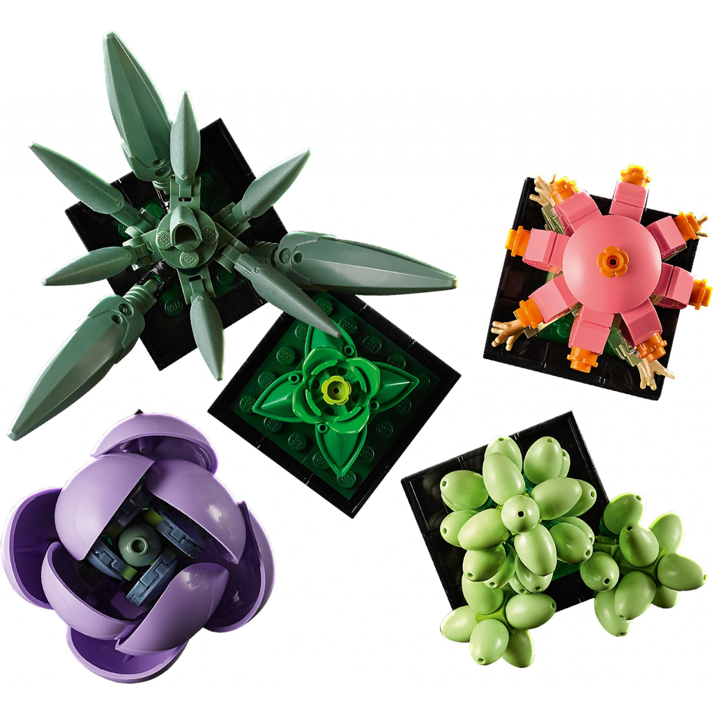 Конструктор LEGO Botanicals Сукуленти (10309-) - зображення 7