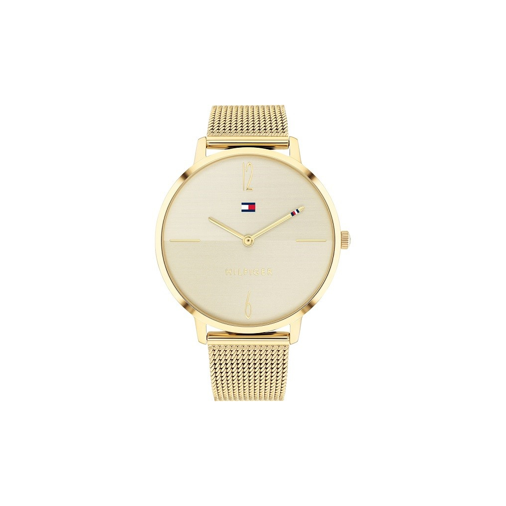 Наручний годинник Tommy Hilfiger 1782339 - зображення 1