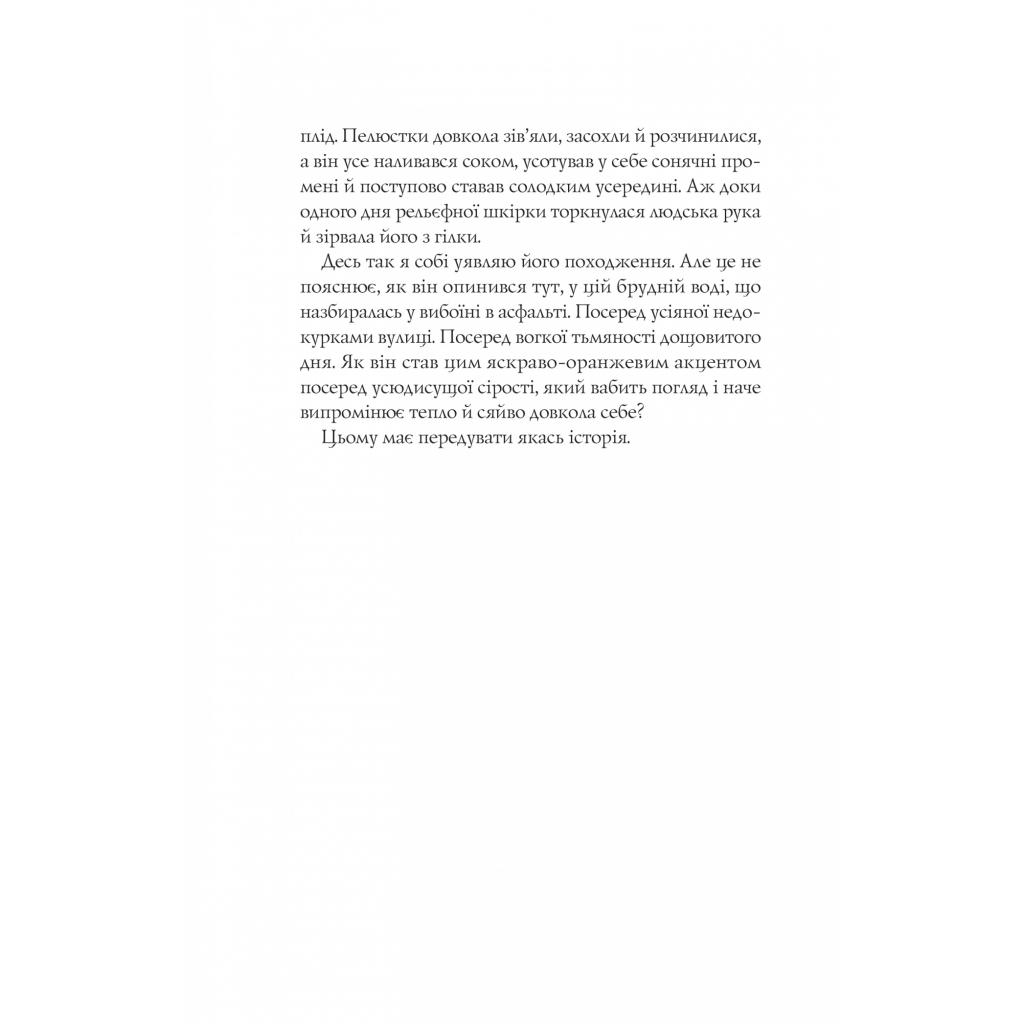 Книга Апельсин у калюжі - Людмила Баран Vivat (9786171704909) - зображення 4