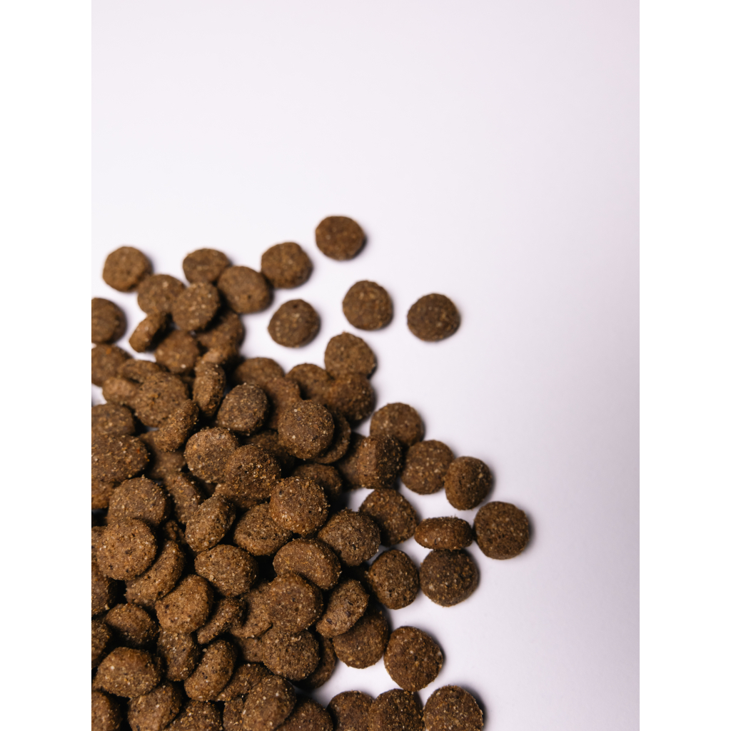 Сухий корм для собак Savory Junior Large rich in Fresh Turkey and Chicken 12 кг (4820232630211) - зображення 3