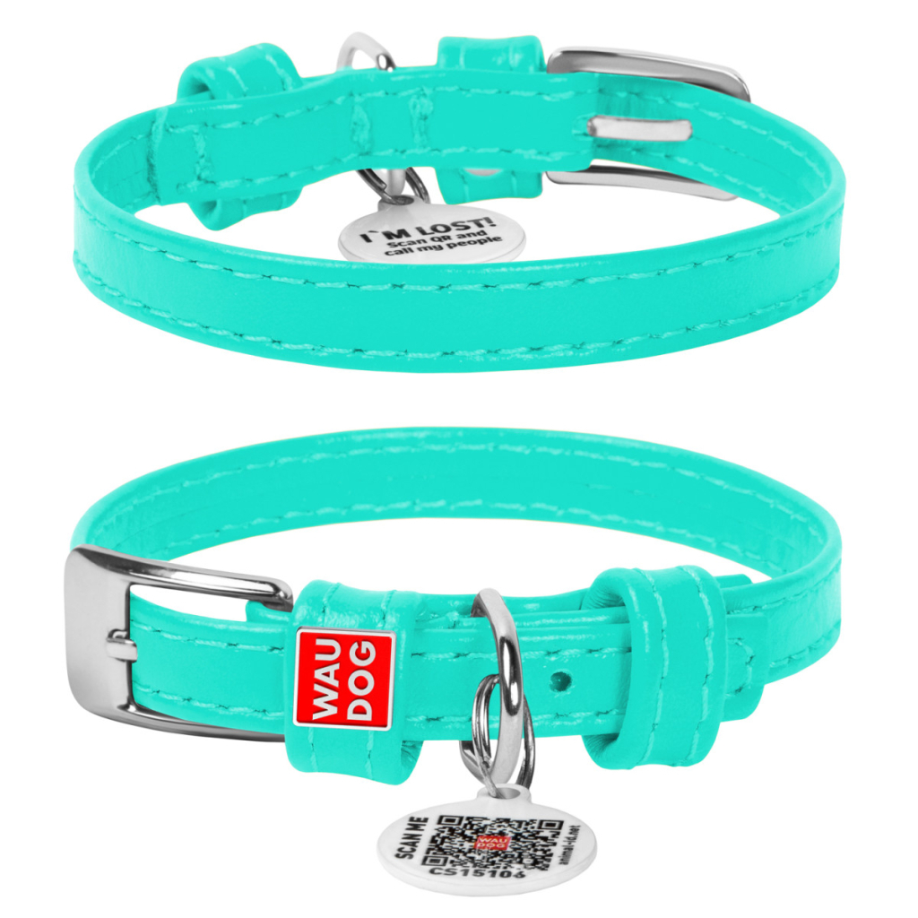 Нашийник для тварин WAUDOG Glamour з QR паспортом без прикрас XS Ш 15 мм ментоловий (327013) - зображення 1