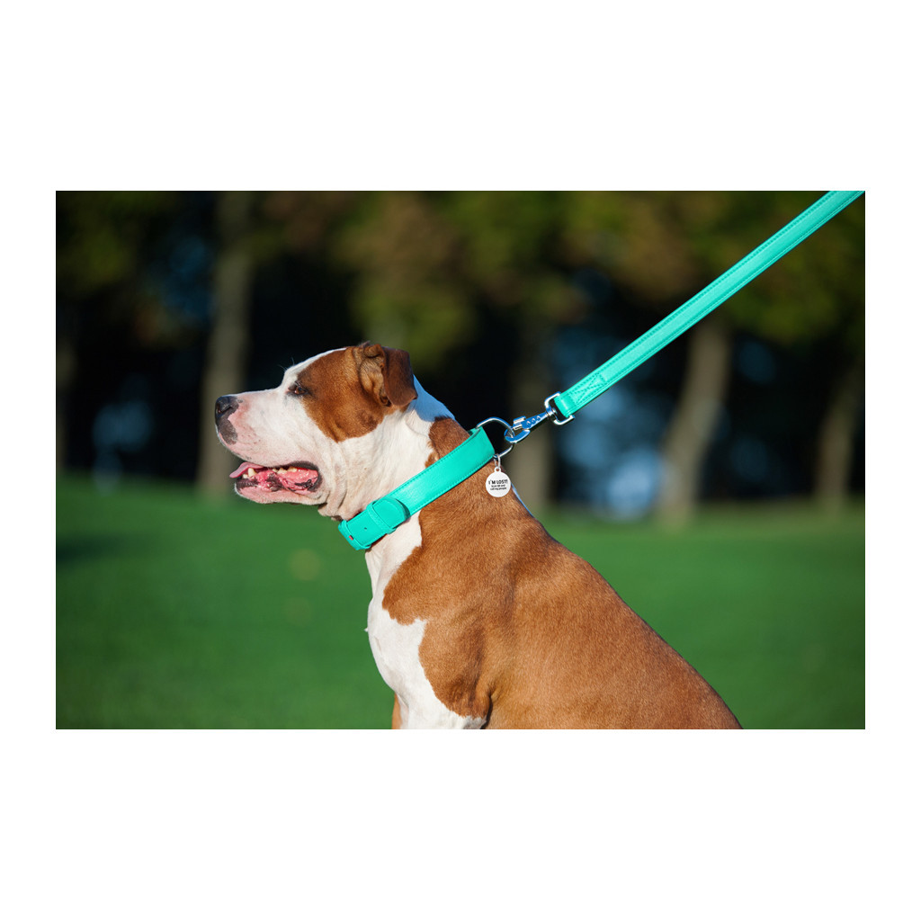 Повідець для собак WAUDOG Glamour шкіряний M-XXL ментоловий (337613) - зображення 7