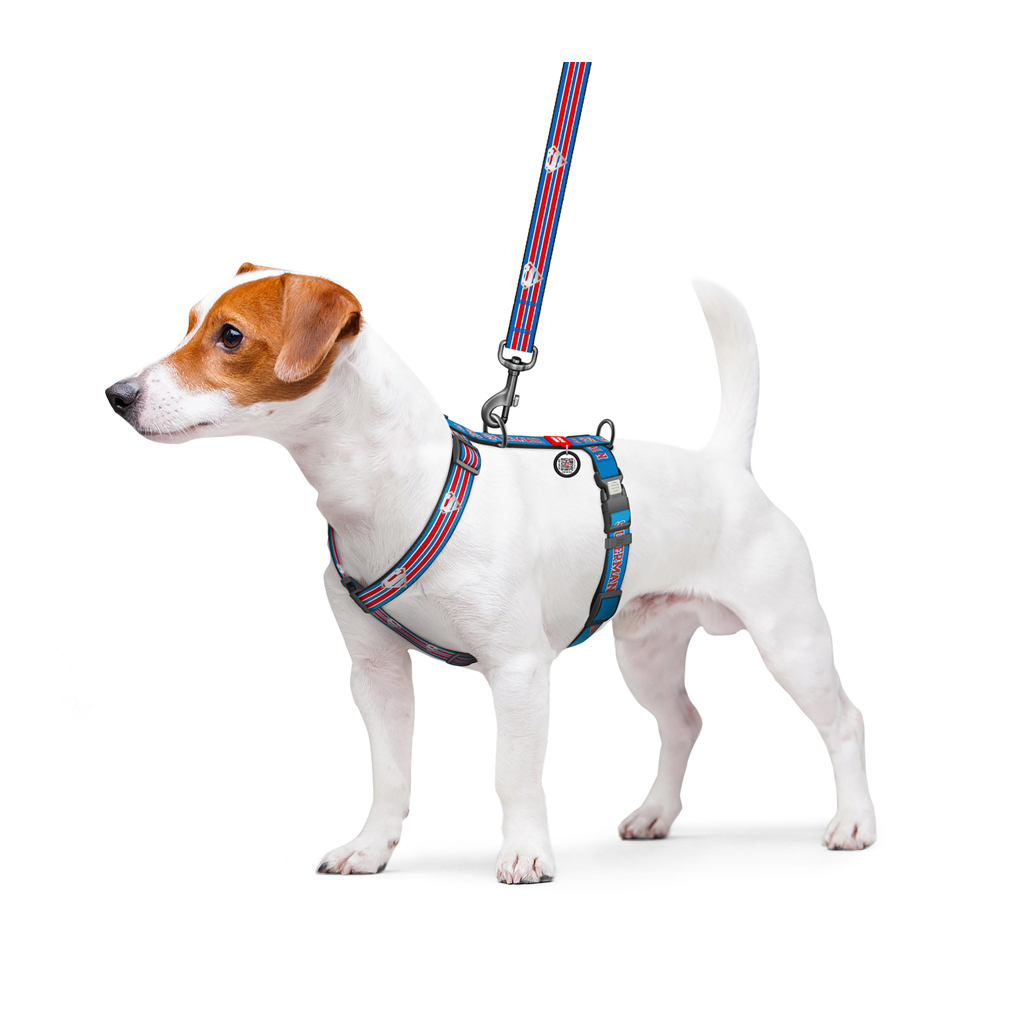Шлея для собак WAUDOG Nylon H-подібна з QR-паспортом "Супермен Ретро", світловідбивна L (345-1082) - зображення 4