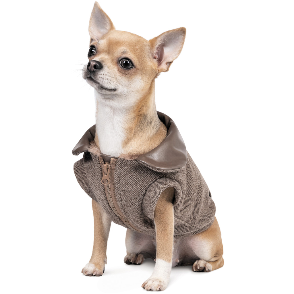 Жилет для тварин Pet Fashion Harry XS2 (4823082430109) - зображення 2