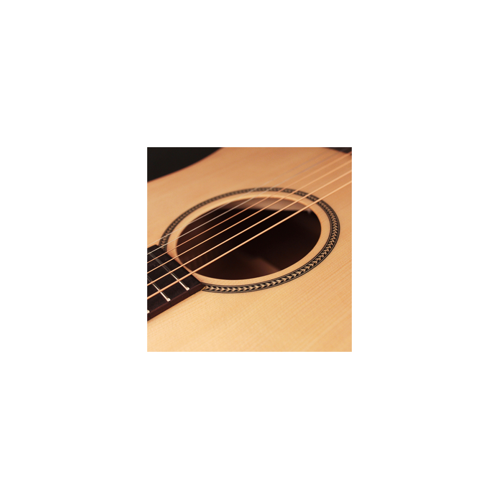Гітара акустична Cort Earth Bevel Cut Open Pore - зображення 9