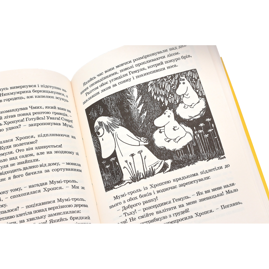 Книга Країна Мумі-тролів. Книга 1 - Туве Янссон Видавництво Старого Лева (9786176796466) - зображення 6