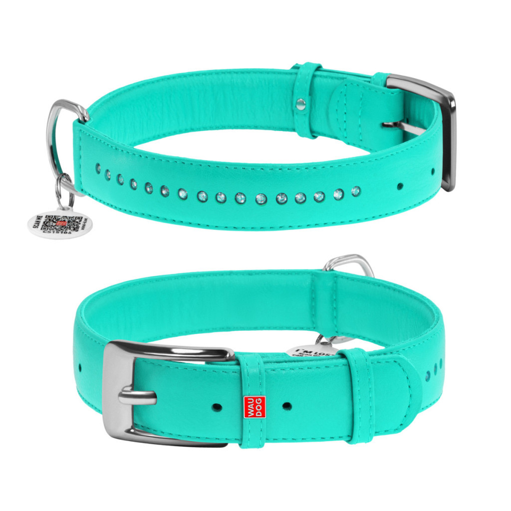 Нашийник для тварин WAUDOG Glamour з QR-паспортом, подвійний Ш 20 мм Д 30-39 см ментоловий (387613) - зображення 1