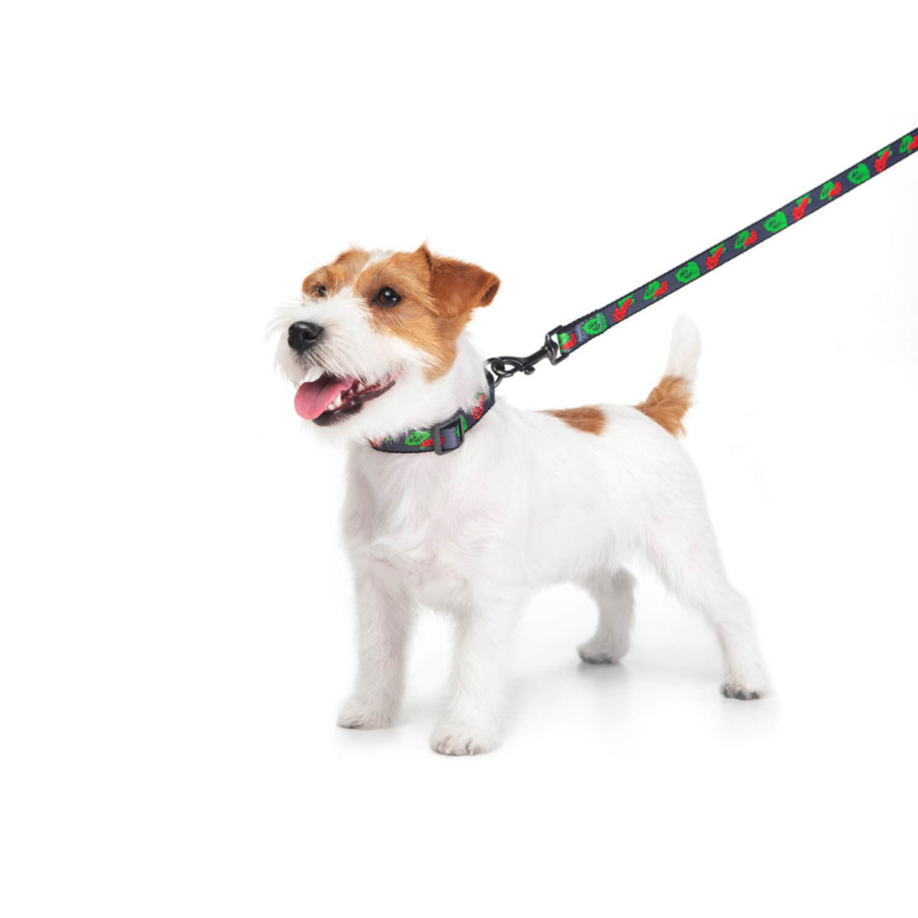 Повідець для собак WAUDOG Nylon "Калина" S (4915-0228) - зображення 4