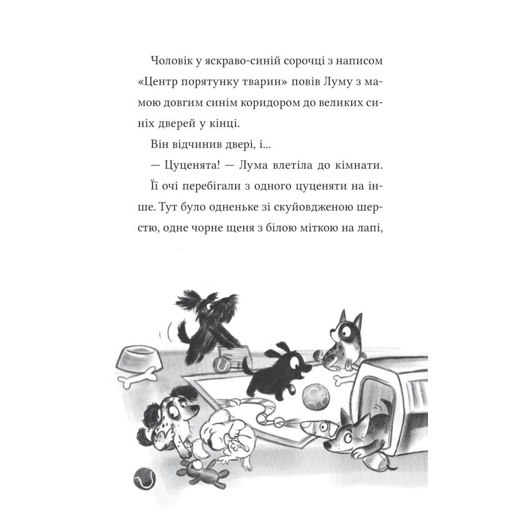 Книга Лума та її хатній дракон - Лі Мохаммед Vivat (9786171707511) - изображение 12